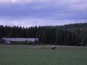 ne kreupele in the land of nowhere