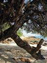 Koh Samet