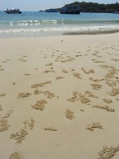 Strand bezaaid met krabbezandballetjes.