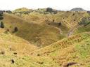 Het ontboste landschap langs Forgotten World H-way