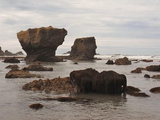 Cape Kidnappers