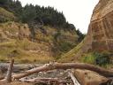 Onderweg naar Cape Kidnappers