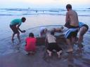 Putteke graven, Hot water beach