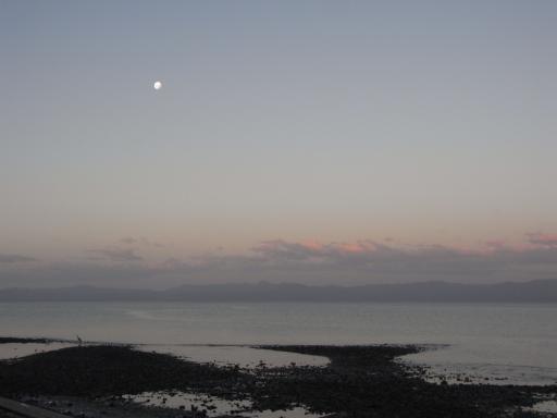 Bird coast with no birds.