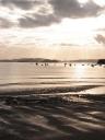 Algies Bay