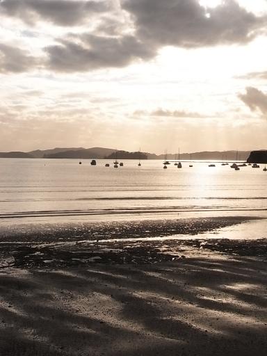 Algies Bay