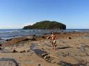 Goat Island