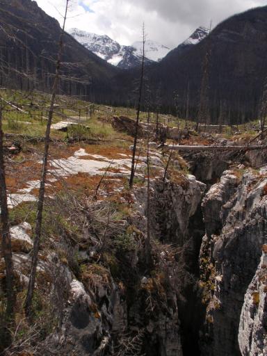 Marble canyon, Kootenay nat. park