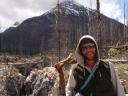 Marble canyon, Kootenay nat. park