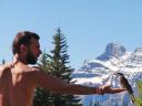 Duffy met Whiskey Jack (Grey jay), Banff