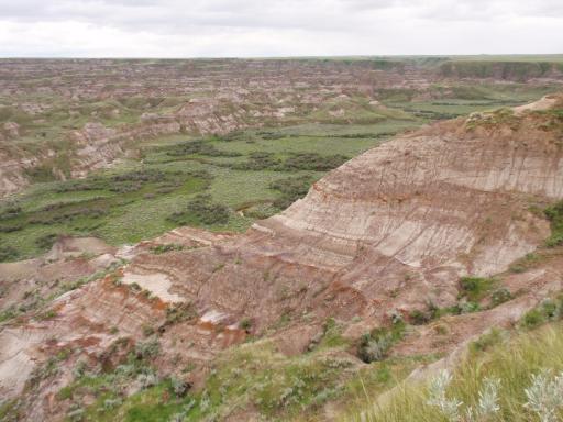 Dinosaur Provincial park