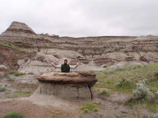 Dinosaur Provincial park