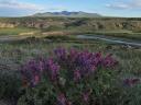 Writing-on-Stone provincial park