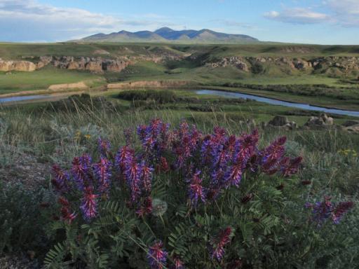 Writing-on-Stone provincial park