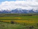 Onderweg naar Waterton Lakes nat. park.