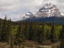 Onderweg naar Waterton Lakes nat. park.