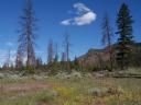Lac Du Bois protected area