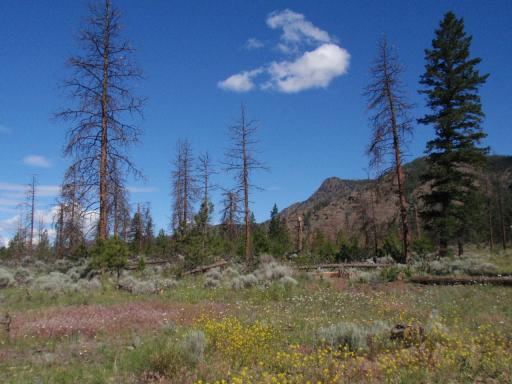 Lac Du Bois protected area