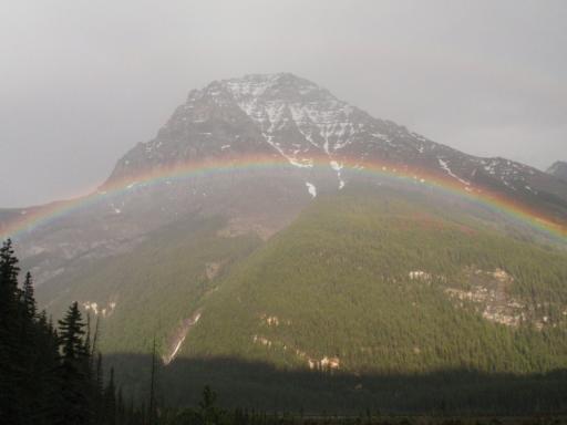Regenboog aan Field