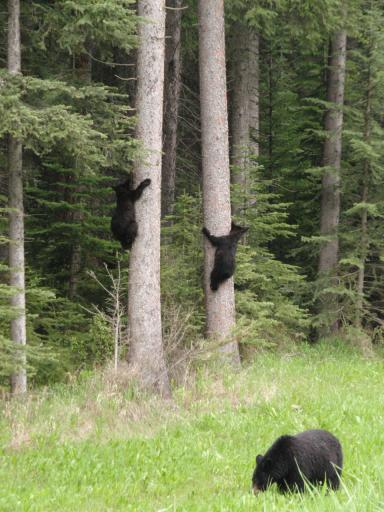 Can we come down now mum?
