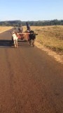 transportmiddel