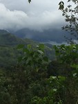 IMG_4786