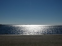 Fort island beach