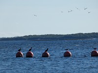 Fort island beach