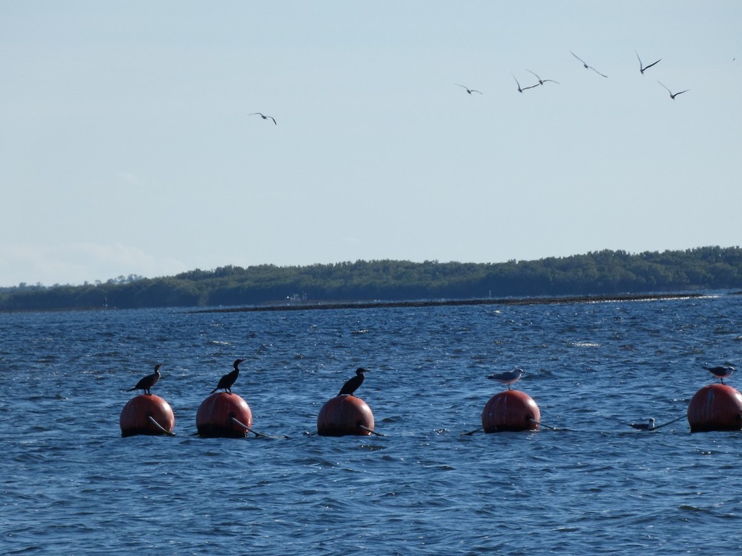 Fort island beach
