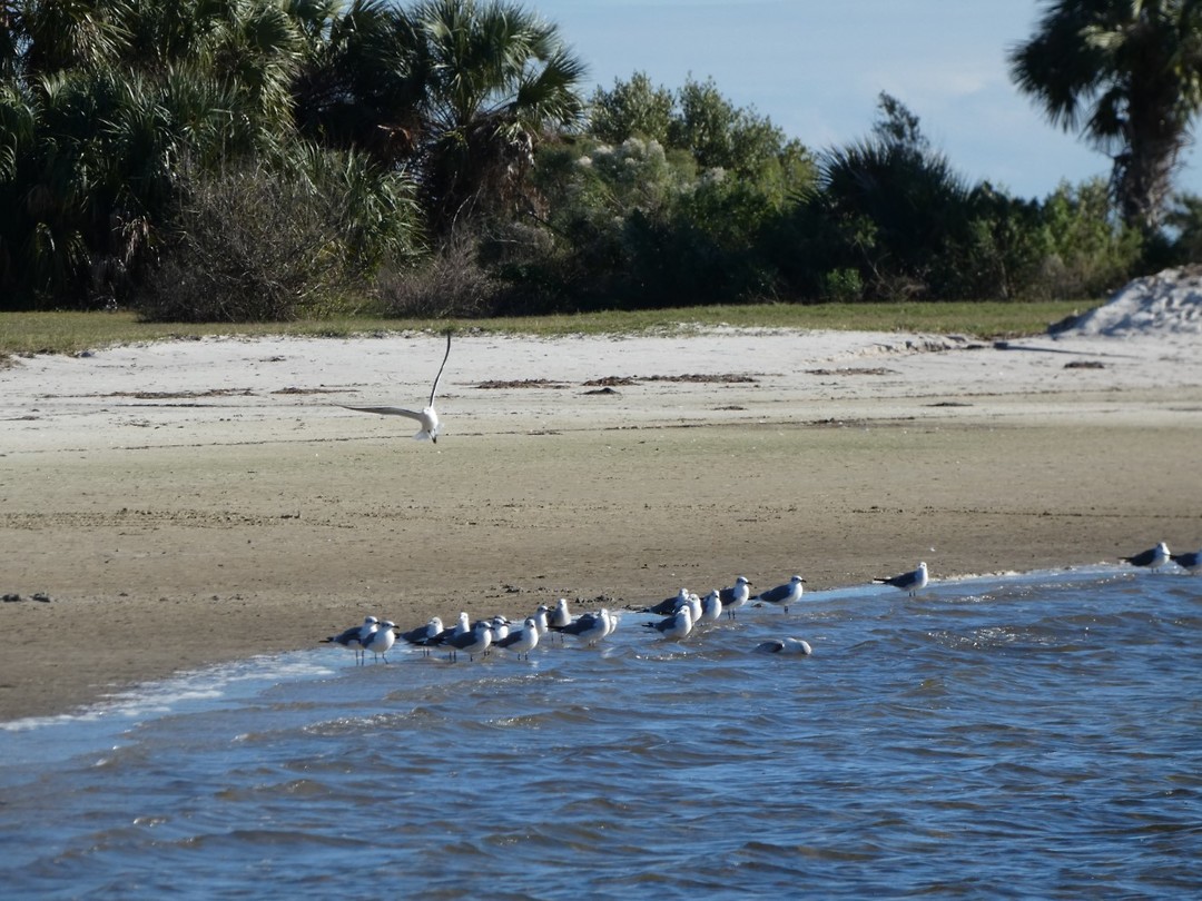 Fort island beach