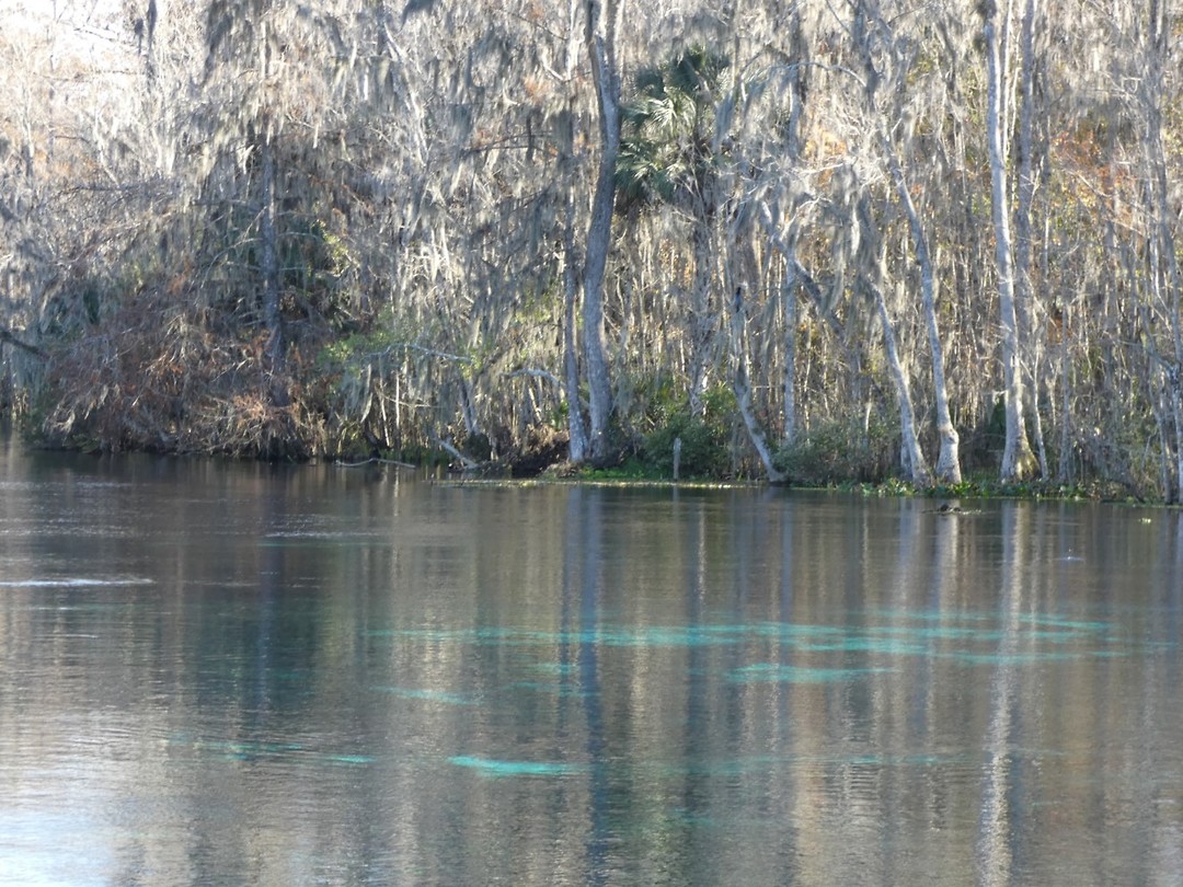 Silver Springs