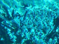 onder water