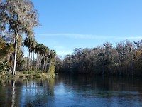 Silver Springs