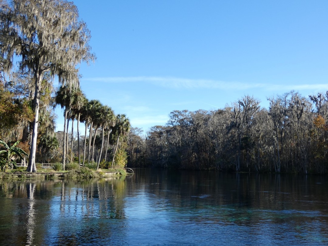 Silver Springs