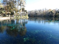 Silver Springs