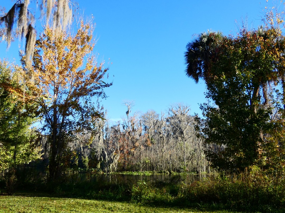 Silver Springs