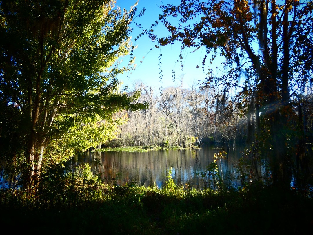 Silver Springs