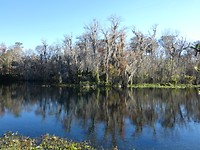 Silver Springs