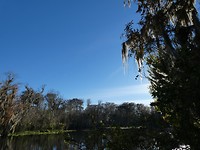 Silver Springs