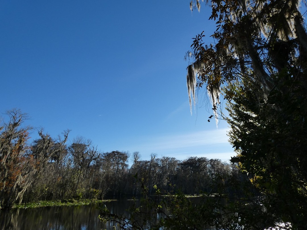 Silver Springs