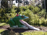kikker