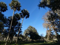 Silver Springs