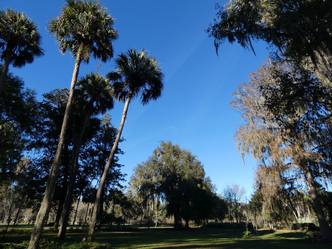 Silver Springs
