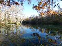 Silver Springs
