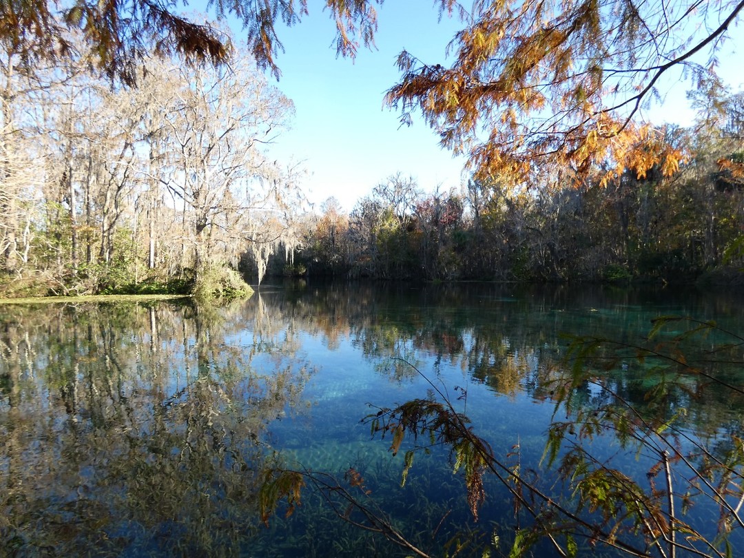 Silver Springs