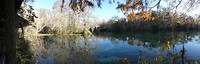 Silver Springs