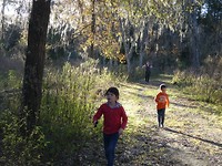 Silver Springs