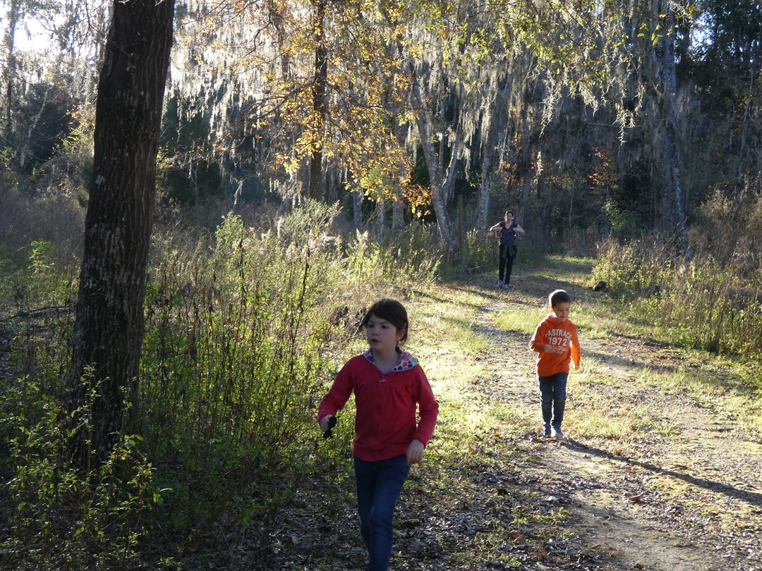 Silver Springs