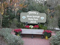 Silver Springs