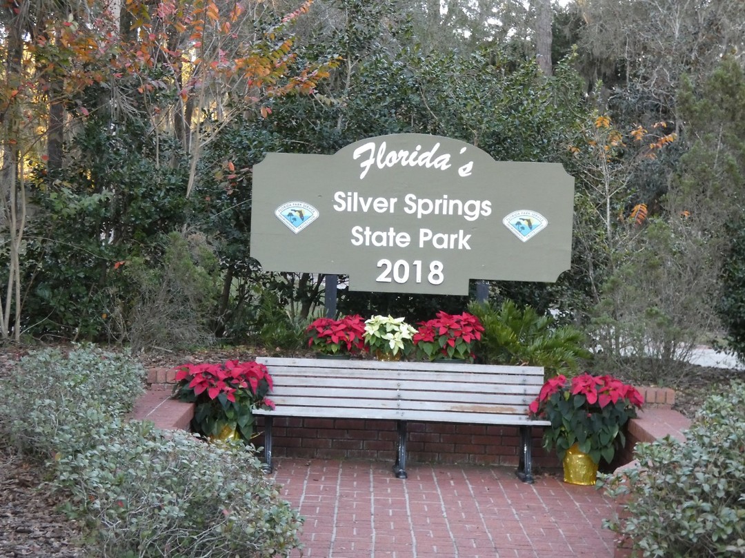 Silver Springs